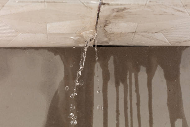 Professional Water Damage Repair technician working in Gardendale, TX